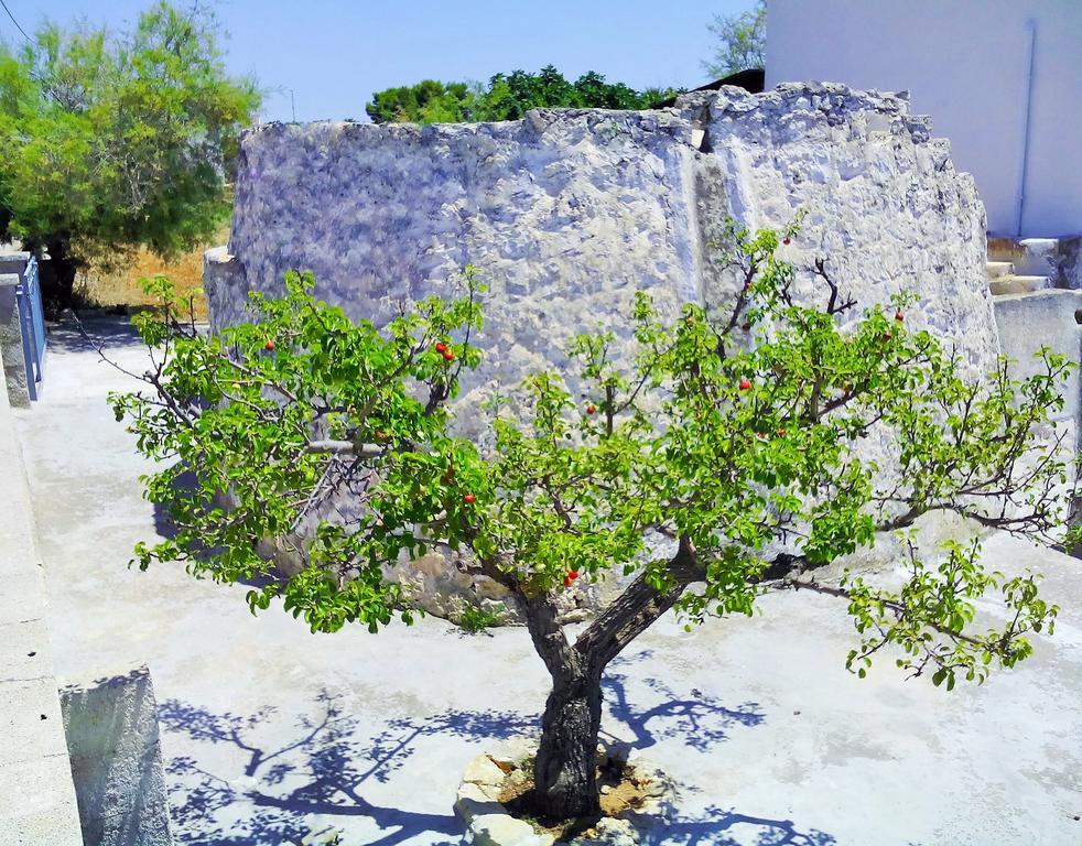 Trullo Don Gabriel Villa Alliste Room photo